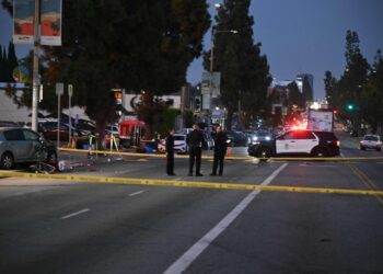 The suspect of the attack in Los Angeles has judicial history