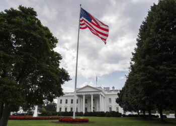 Artificial intelligence tools | Amnesty accuses the United States of targeting migrants and foreign students