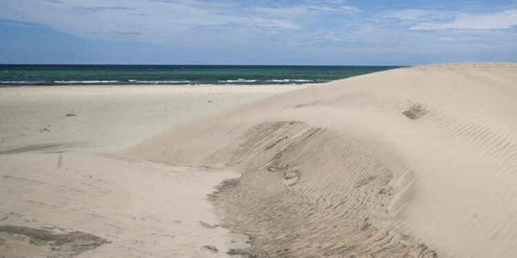 Beaches are subject to factories