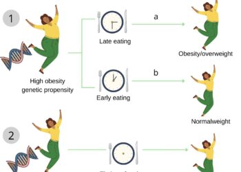 Eat earlier linked to the success of long -term weight loss