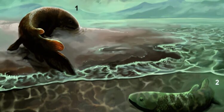 Fish tracks show the first adaptations to move to earth