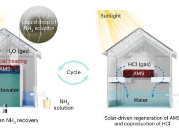 Floating sponges can recover ammonia from wastewater using the sun