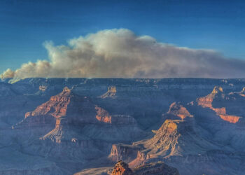 Part of the Grand Canyon ravaged by a fire for a month