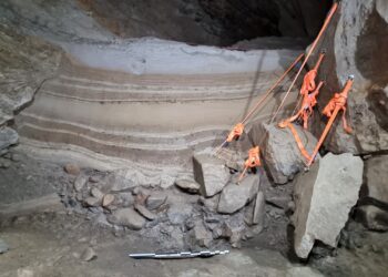 Scientists discover that 75,000 -year -old Arctic animals remain in the Norwegian cave