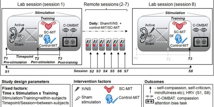 Stimulation of the vagus nerve associated with meditation increases the advantages of self-compassion and mindfulness