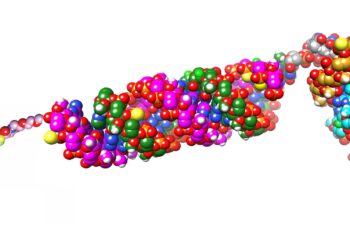 The new molecular technology targets tumors and simultaneously arbitrates two cancer genes “not prejudice”