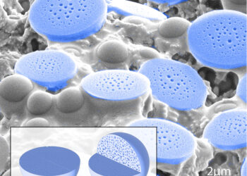 The study reveals that simple peptides can imitate the protection strategy of nature proteins