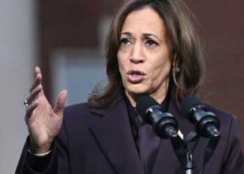 2024 presidential election | Harris judges that the Democrats were “reckless” to leave the decision to Biden