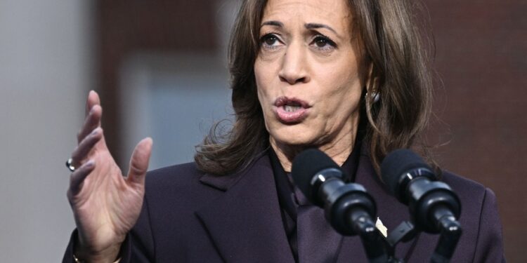 2024 presidential election | Harris judges that the Democrats were “reckless” to leave the decision to Biden