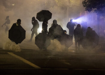 Decryption | Radical left: myths to reality