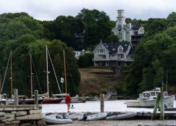Maine | Trees killed at the neighbor to have a view of the sea?