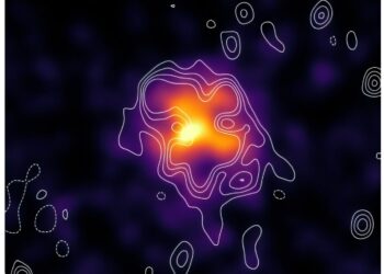 New Halo Discovery radio with Meerkat