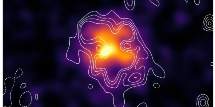 New Halo Discovery radio with Meerkat