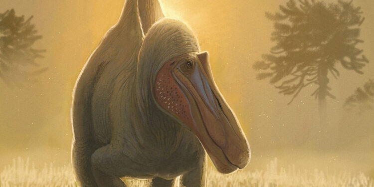 The European roots of giant Africa predatory dinosaurs