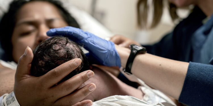 “We lose money” | The press