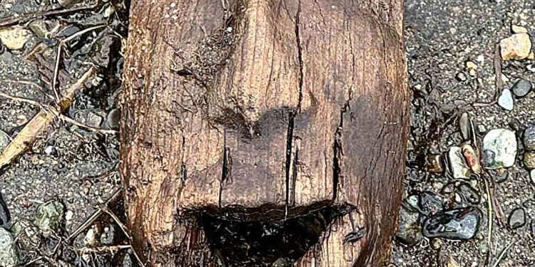 Archaeological site in Alaska that sheds light on the life of the first Yup’ik ravaged by ex-typhoon Halong