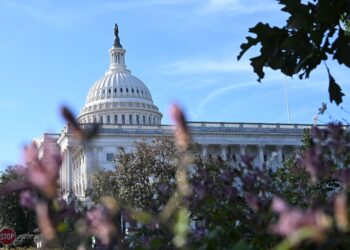 Budgetary paralysis continues in the United States