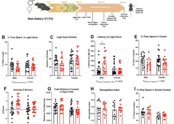 COVID-19 May Cause Changes in Sperm That Lead to Increased Anxiety in Mice Offspring