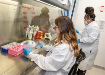 “Chemo brain” cognitive problems linked to poor drainage of the lymphatic system