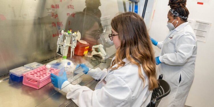 “Chemo brain” cognitive problems linked to poor drainage of the lymphatic system