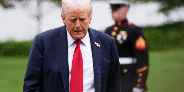 Donald Trump | A small popularity rating, but stable