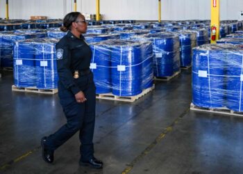 Drug cartels | Trump declares the United States in “armed conflict”