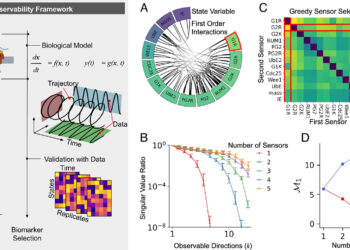 Engineering fundamentals can help identify disease biomarkers more quickly
