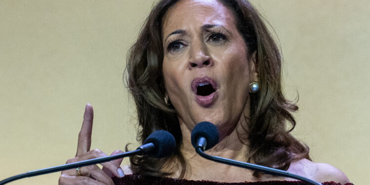 Kamala Harris leaves door open to run for president in 2028