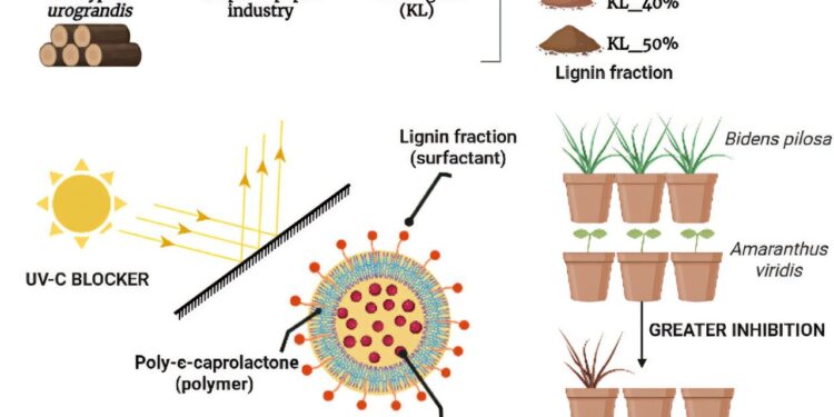 Lignin increases stability and effectiveness of herbicide nanoparticles, study finds