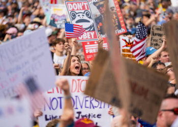 “No Kings” “No more Trump!” »