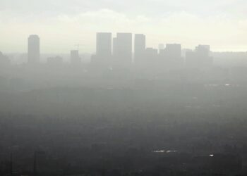 Raids by federal immigration police | Los Angeles declares state of emergency to help victims