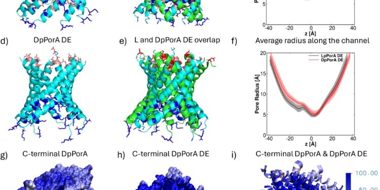 Revolutionary mirror-image nanopores open door to new biomedical applications
