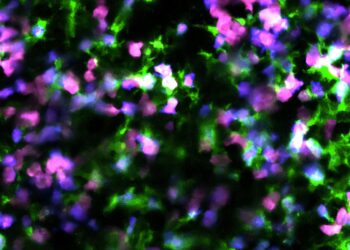 Scientists reprogram cancer cell death to trigger immune system