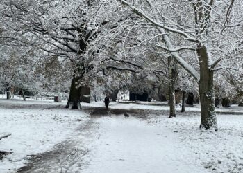 Swedish study links extreme temperatures to higher risk of death from heart failure