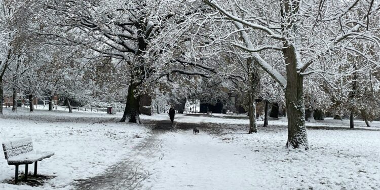 Swedish study links extreme temperatures to higher risk of death from heart failure