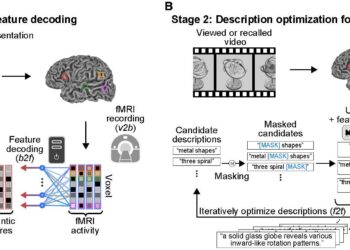 A “mental captioning” technique can read human thoughts based on brain scans