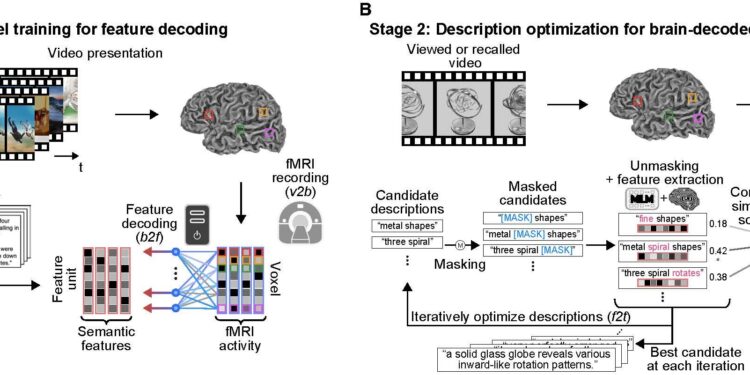 A “mental captioning” technique can read human thoughts based on brain scans