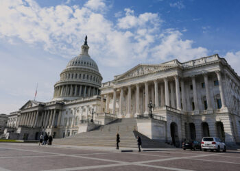 Epstein affair | Trump signs bill to release full documents