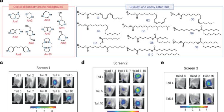 Nanoparticles that enhance mRNA delivery could reduce vaccine dosage and costs
