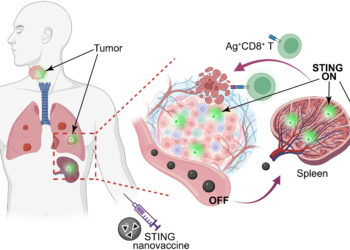 Nanovaccine shows great promise for treating HPV-related cancers
