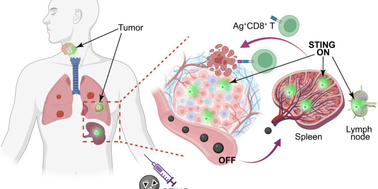 Nanovaccine shows great promise for treating HPV-related cancers