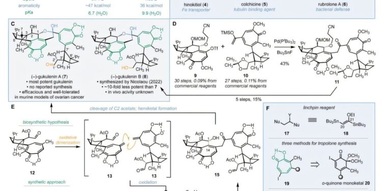 New strategy for synthesizing (–)-gukulenin A reveals the chemistry behind its anticancer effects