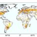 Origin of precipitation reveals hidden factor behind drought risks for farmers