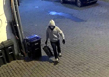 Eve of the assault on the Capitol | Suspected bomber remains in custody