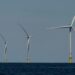 Trump administration suspends five offshore wind projects