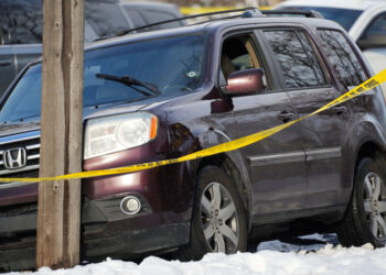 Minneapolis | Immigration policeman shoots dead woman during operation