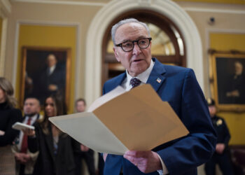 Partial budgetary paralysis | Democrats call for stricter supervision of immigration police