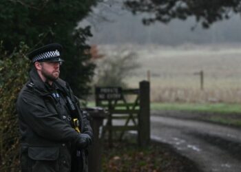 Arrest of ex-Prince Andrew | “Virginia is surely smiling from up there”