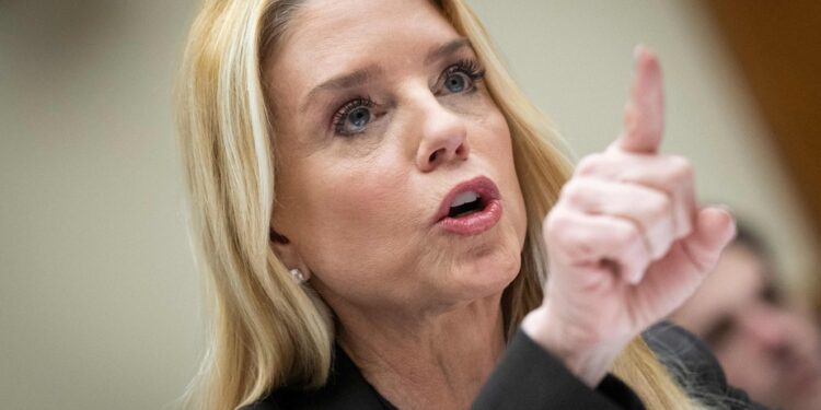 Documents from the Epstein affair | Democrats are outraged by the Trump administration’s monitoring of their research