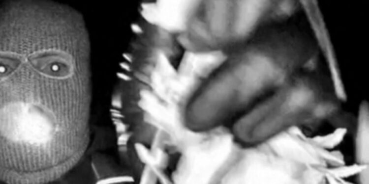 Kidnapping of a journalist’s mother